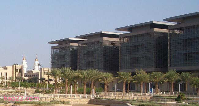 2018年沙特阿拉伯阿卜杜拉国王科技大学世界排名 留学费用 