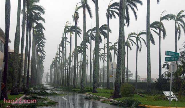 美国历史上十大飓风 每一场飓风都是无情的灾难 