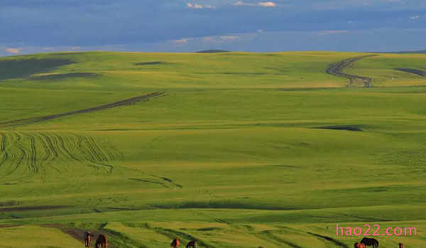 中国最大的草原 呼伦贝尔草原面积约一亿四千九百万亩 